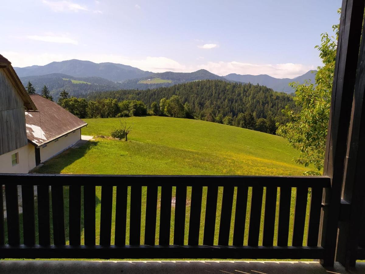 Kmetija Pecnik Apartment Prevalje ภายนอก รูปภาพ