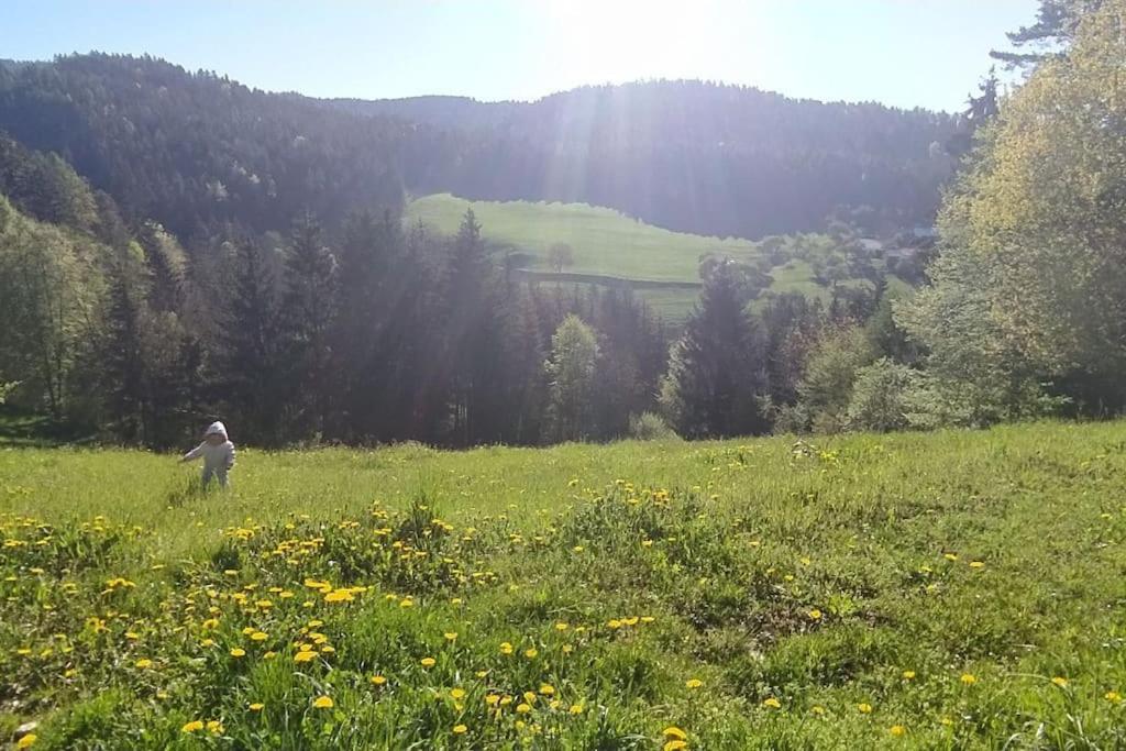 Kmetija Pecnik Apartment Prevalje ภายนอก รูปภาพ